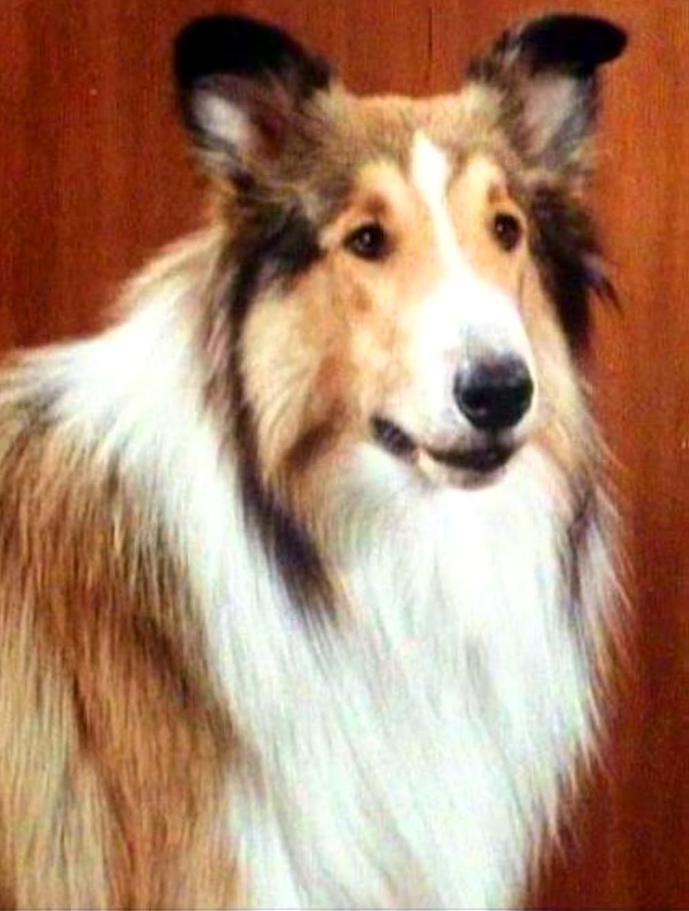 Portrait of Prof. Barksalot